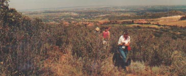 Hiking the trail near the Intemann turnoff